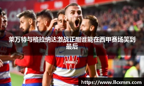 伟德bv国际体育